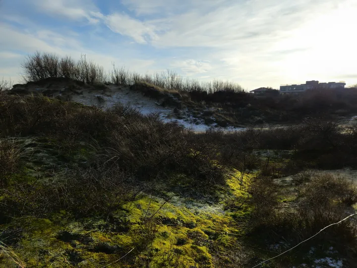 Oostnieuwkerke duinen wandeling in de koude (België)